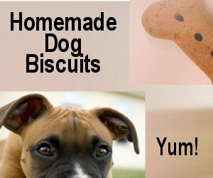 dog-biscuits